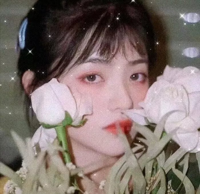 极地漫步